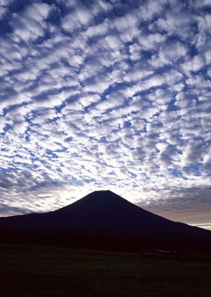 敦賀駅近くの便利なビジネスホテル｜東横INN敦賀駅前の魅力と特徴