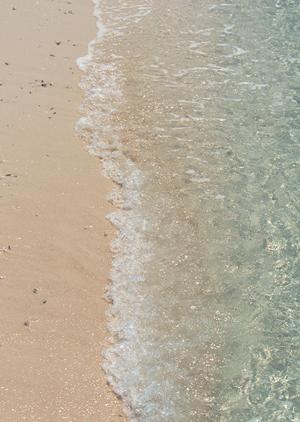 静岡市中心のシティホテルが提供する多彩なレストランと充実の宿泊施設