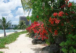 【公式】東横INN府中南武線南多摩駅前｜稲城市の快適なビジネスホテルと観光拠点
