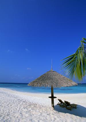 広島駅から徒歩10分の快適ビジネスホテル【東横INN広島駅南口右】の魅力と詳細情報