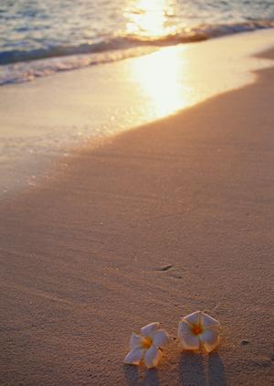 神奈川県相模原市にあるビジネスホテル、東横INNJR横浜線相模原駅前の魅力と詳細情報