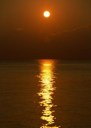 埼玉の体験農園完全ガイド2025：初心者から上級者まで楽しめる農業体験の魅力