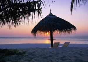 【公式】東横INN宇都宮駅前1｜栃木県宇都宮市のビジネスホテル・予約サイトの特徴とアクセス情報