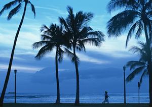 快適なビジネス利用と観光に最適！東横INN品川青物横丁駅の魅力と詳細情報