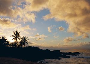 東横INN千葉新鎌ヶ谷駅前の魅力と宿泊特長｜便利なアクセスと快適な滞在を提供するビジネスホテル