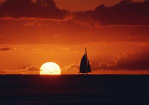 茨城県取手市のビジネスホテル｜東横イン取手駅東口の魅力と施設詳細