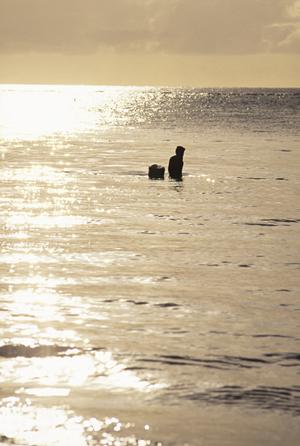 東京のビジネスホテル「東横INN後楽園文京区役所前」：快適なステイと便利なアクセスを提供